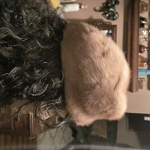 1940s 100% mink hat, very beautiful - Picture 5 of 6